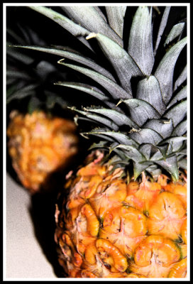Two Pineapples_fresco
