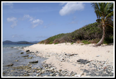 Caribbean Rocky Shores