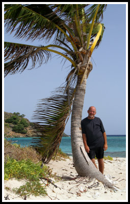 Randy and Palm Tree_serene