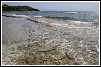 Rocky Shore