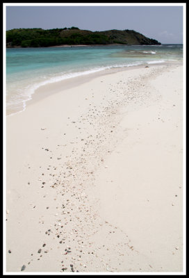 Sandy Beach on Sandy Cay