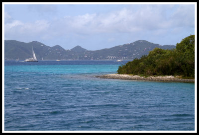 The Point off Little Harbour