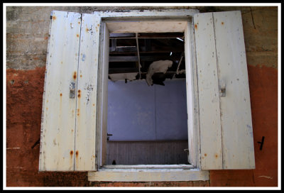 Old Windows and Shutters