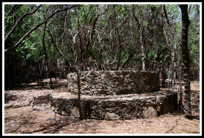 Round Structures in the Jungle