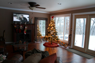 Living Room with Christmas