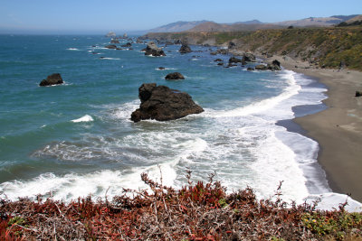 Red White and Blue Pacific