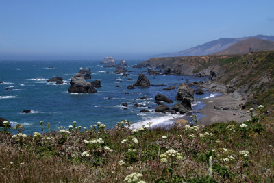 Rocky Coast