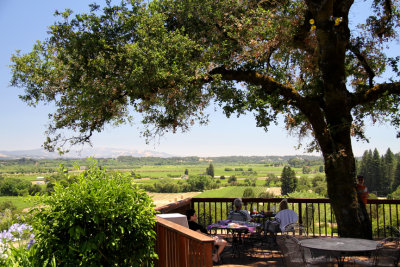 Armida View