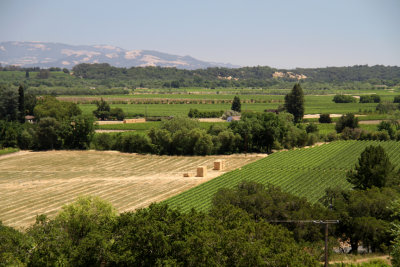One of the Best Views in Russian River