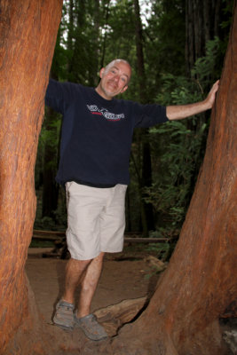 Randy and the Big Tree