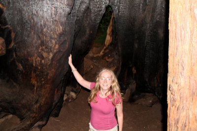 Rochelle in a Big Tree