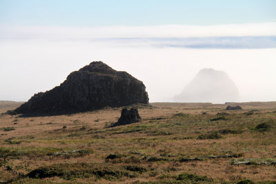 California Coastal Plain