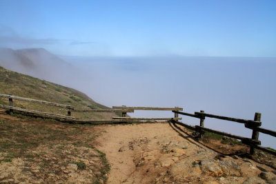 California Fogs