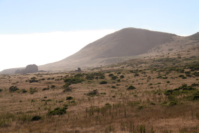 Coastal Hill in Fog
