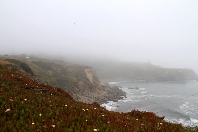 Flying on a Foggy Day