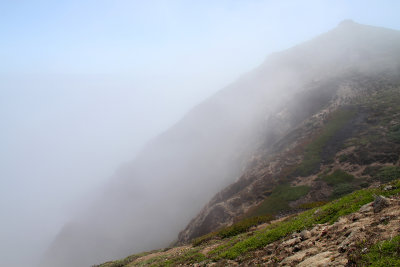Foggy Hillside
