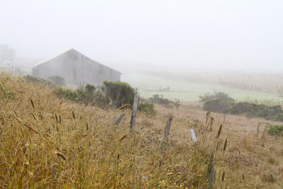 Old Barn in Fog