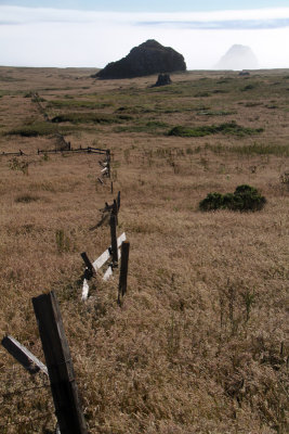 Old Fence to Ocean