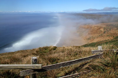 Pacific Wooden Fence