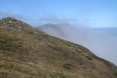 Pacific Hills in Fog