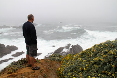Randy and the Pacific