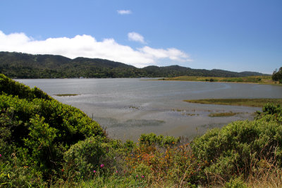 Sound on way to Point Reyes