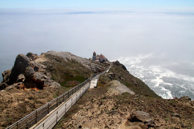 Trail to Point Reyes Lighthouse