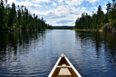 Canoeing into Woodland Caribou