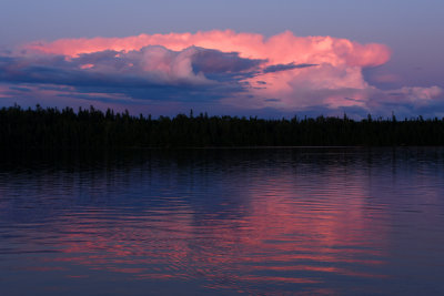 Woodland Caribou Sunset