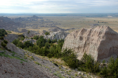 Prairie View from the Window