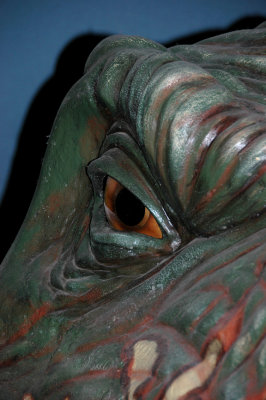 T Rex Eye