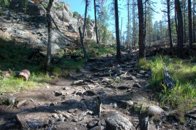 Trail to Little Devils Tower