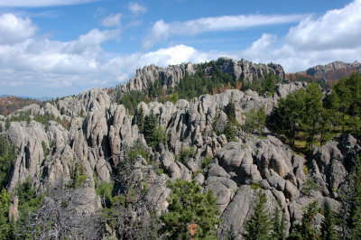 Heart of the Black Hills