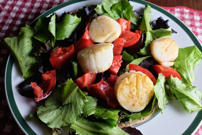 Scallop Salad