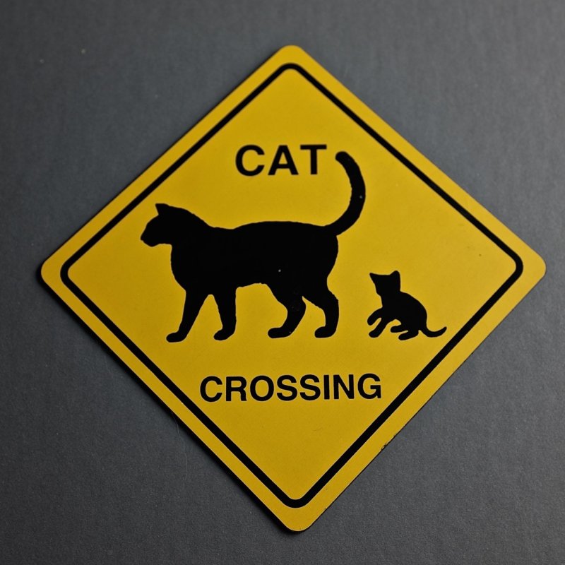 Cat Crossing