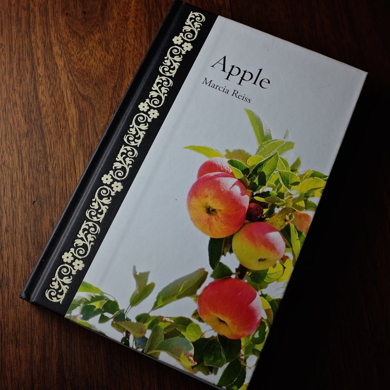 Apple by Marcia Reiss