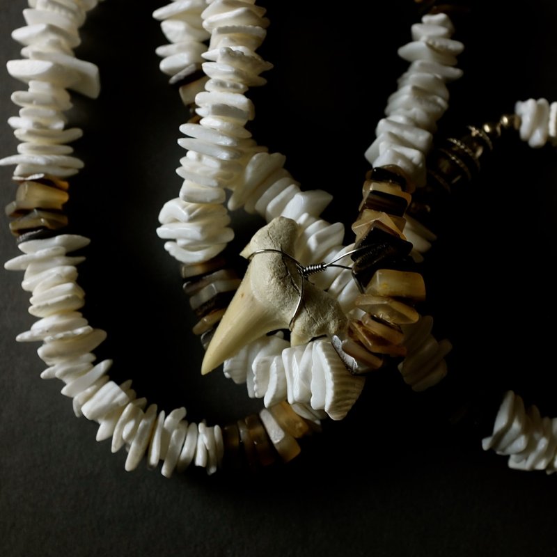 Fossil Shark Tooth Necklace