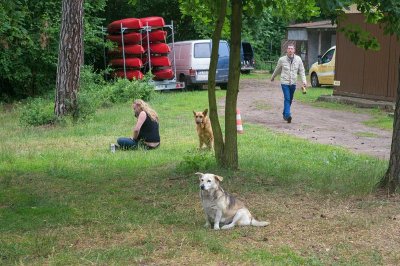 niezlot2014wronczyn