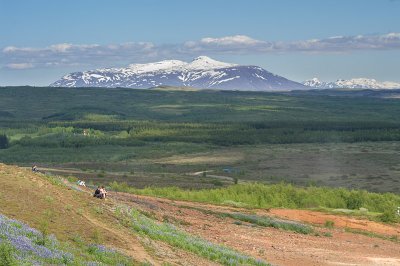 Geysir
