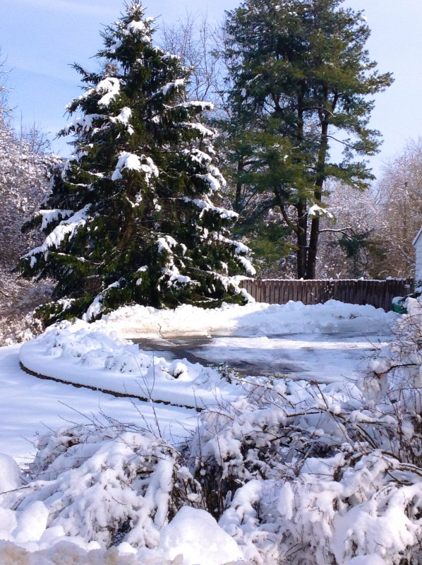 Storm Aftermath