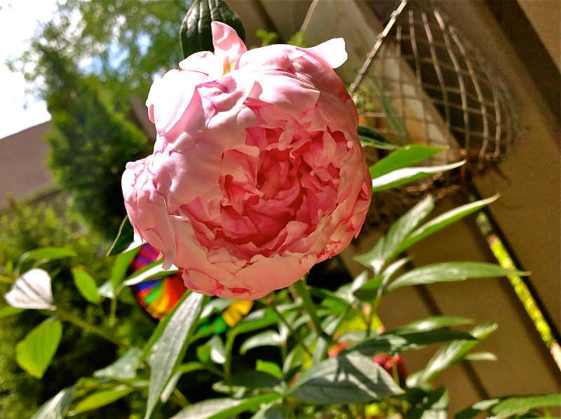 15 may 2014