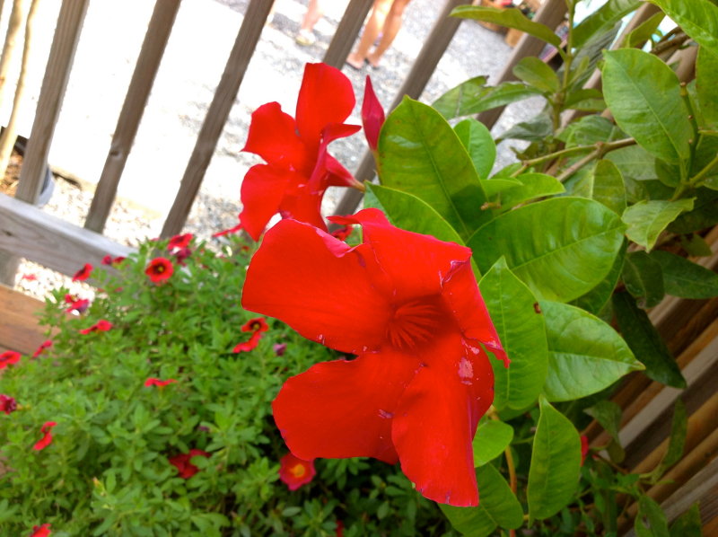 18 august 2014