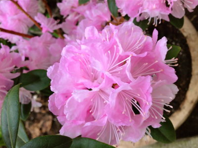 1 may 2014