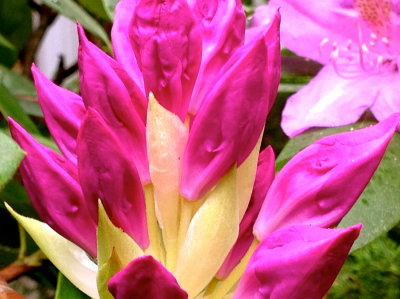 16 may 2014