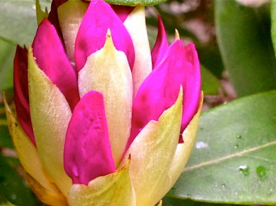 18 may 2014