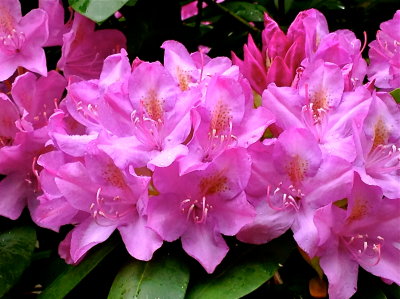 21 may 2014