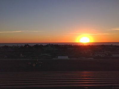 Carlsbad, California Sunset