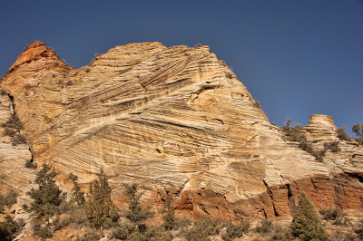 Zion - Red Rocks