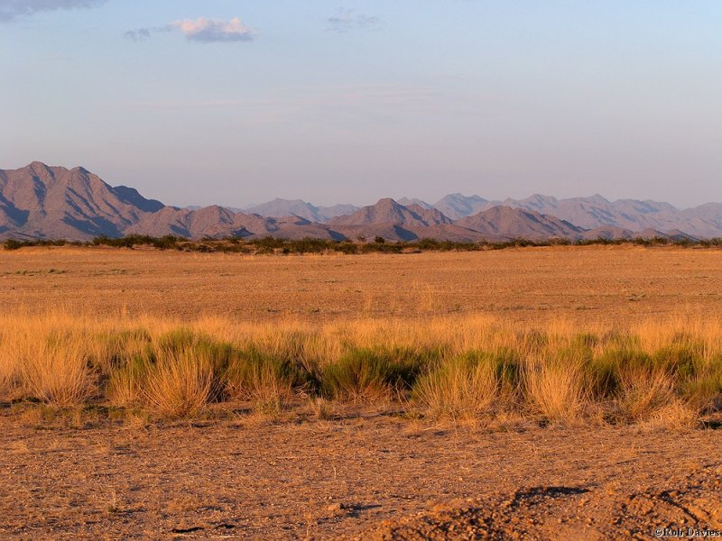 Sonoran Desert