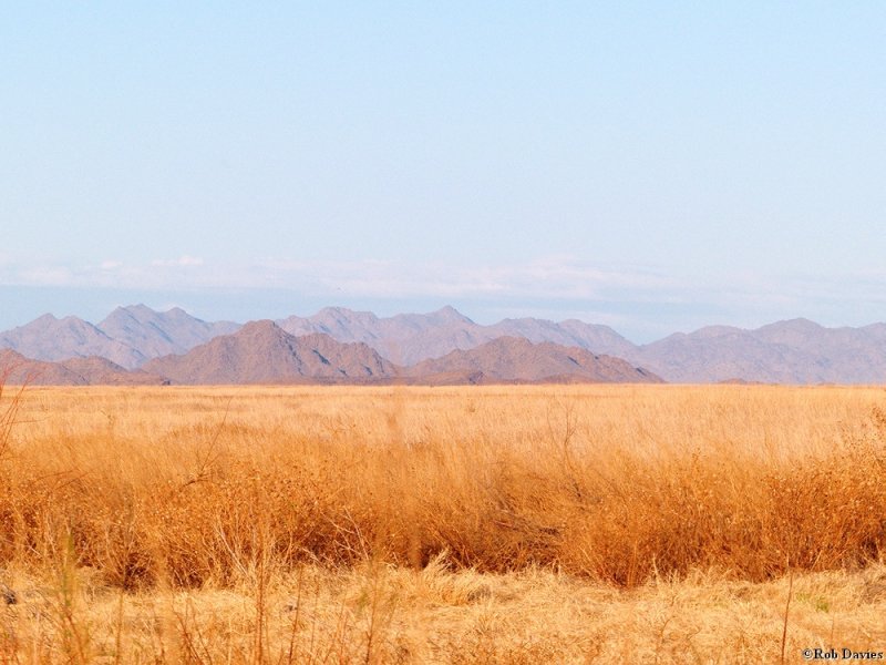 Sonoran Desert